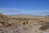 Trail against Distant Muddy Mountain