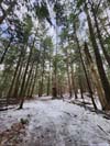 Trail