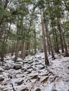 Trail