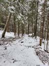 Trail