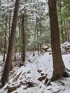 Trail