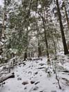 Trail
