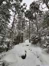Trail