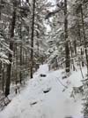 Trail