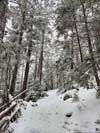Trail