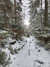 Trail