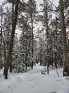 Trail