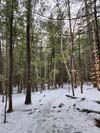 Trail
