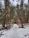 Trail