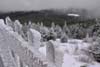 Ice on Fire Tower Railings
