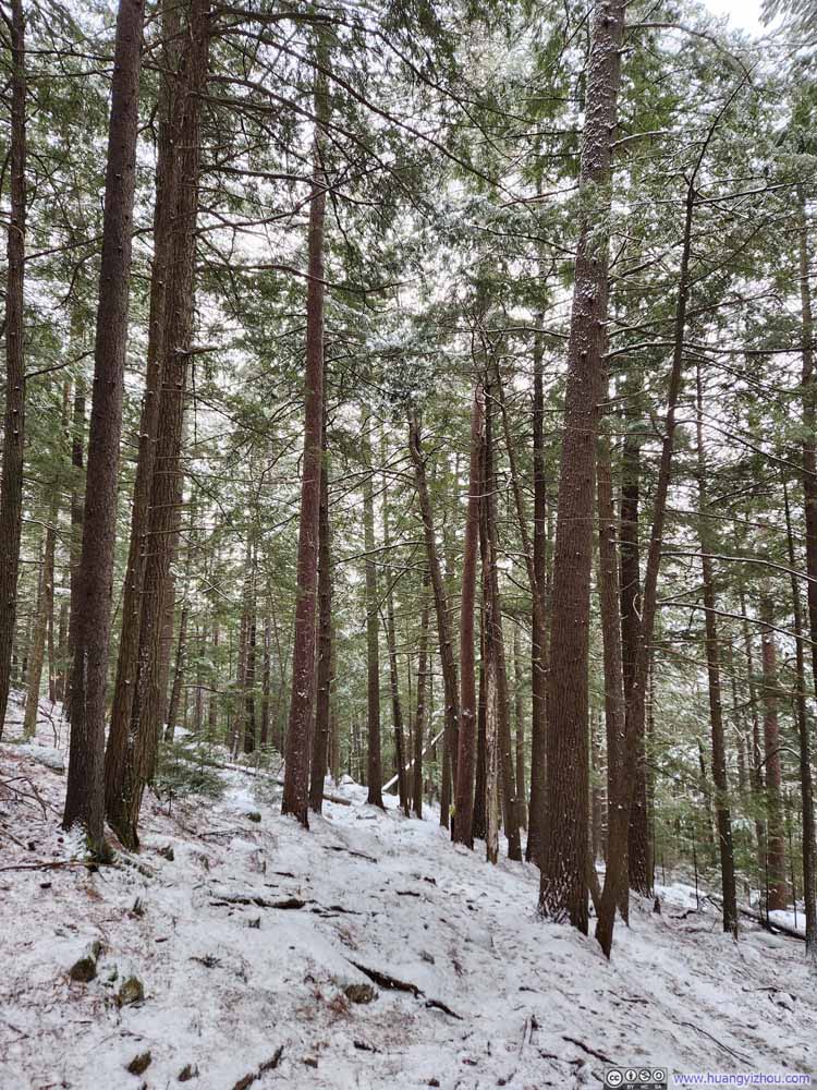 Trail
