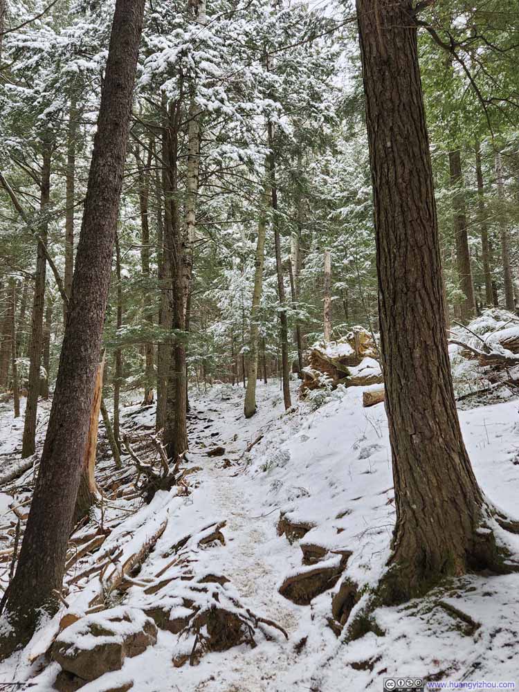 Trail