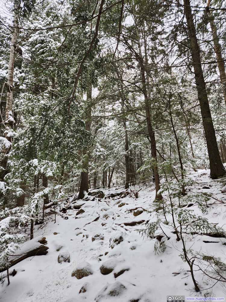 Trail