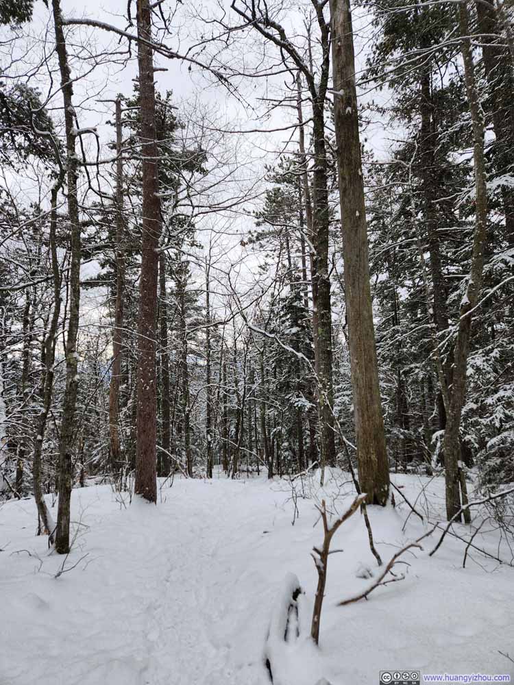 Trail