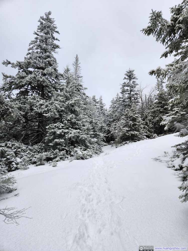Trail