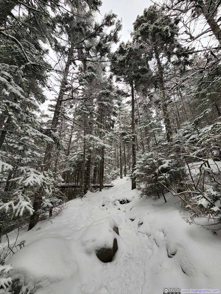 Trail