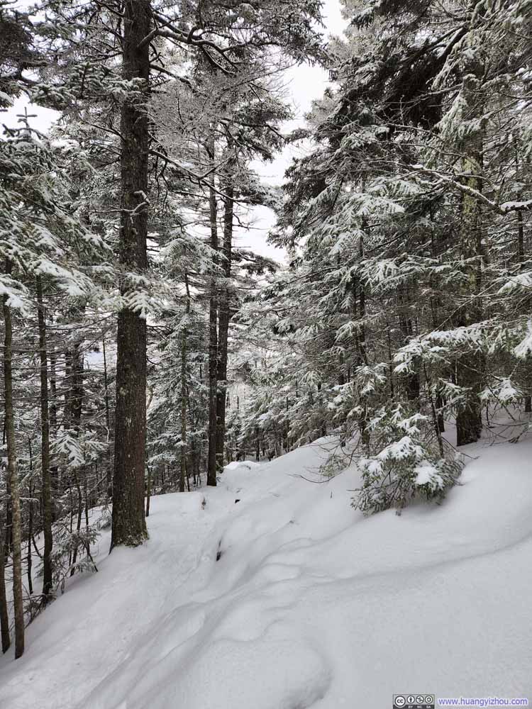 Trail