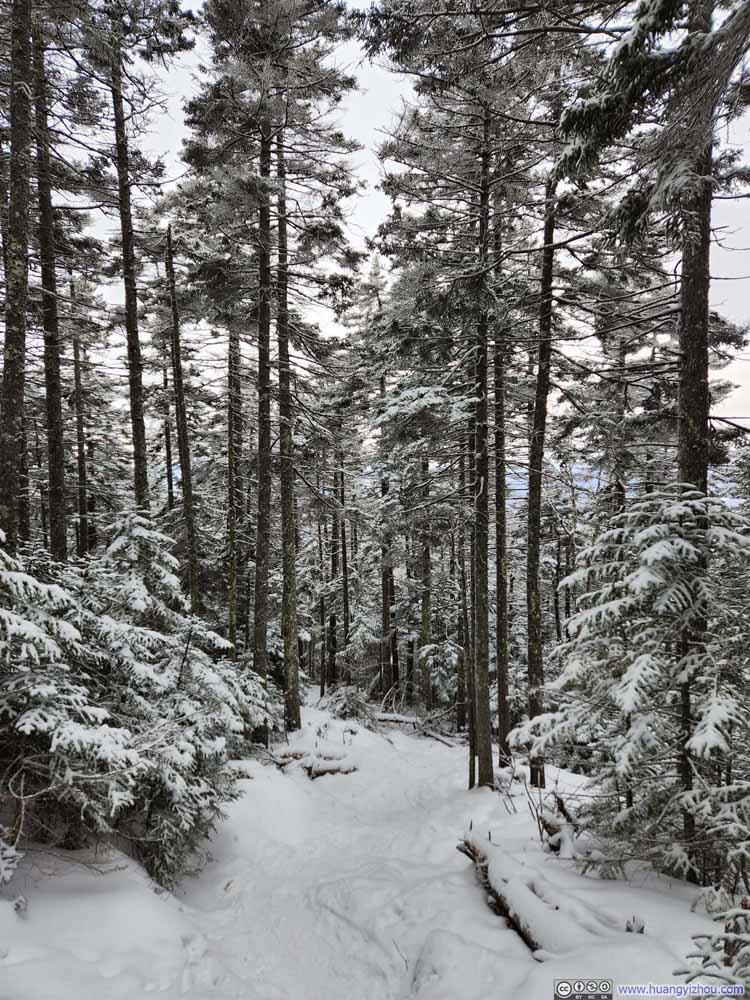 Trail