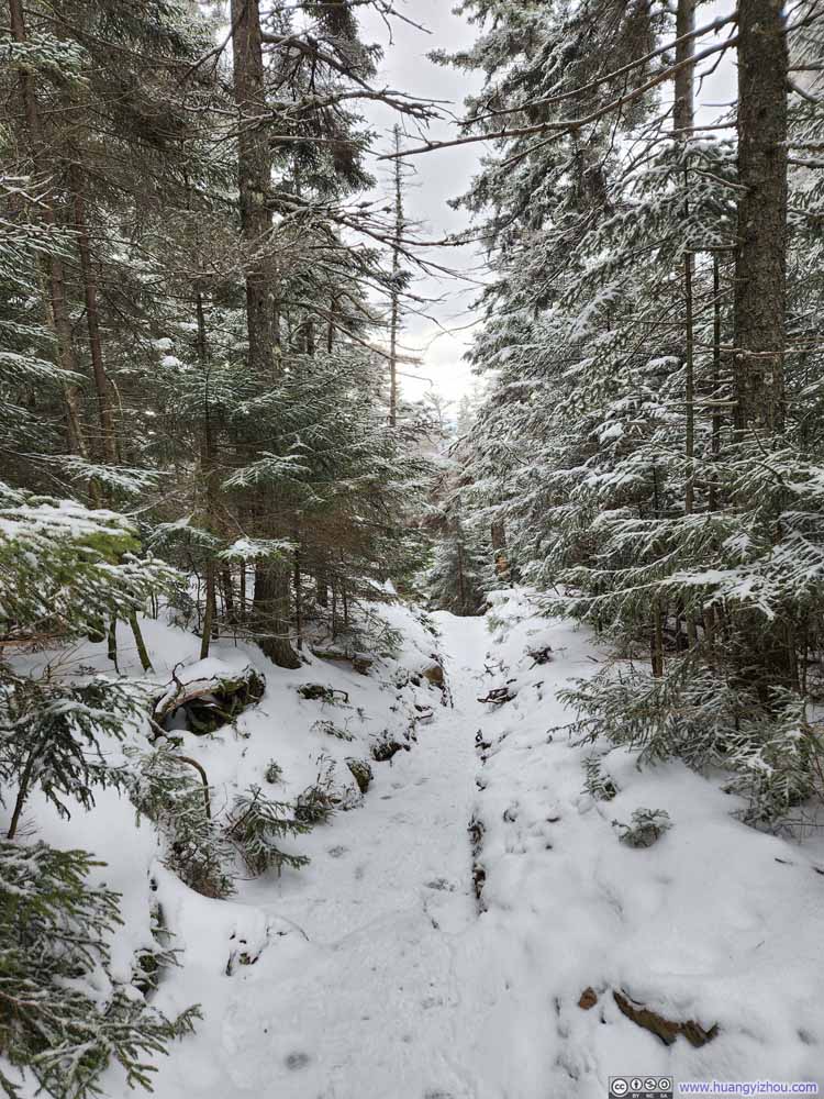 Trail