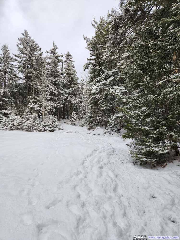 Trail