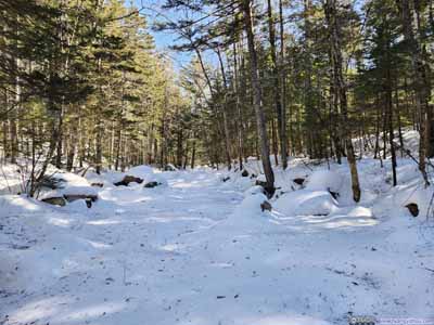 Snow Covered Creek