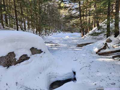 Snow Covered Creek