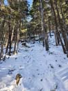 Steep Trail
