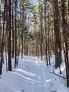 Trail