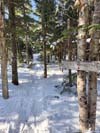 Trail to Jennings Peak
