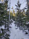 Trail