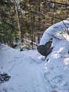 Trail