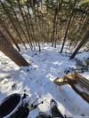 Steep Trail