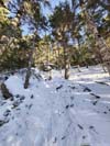 Steep Trail