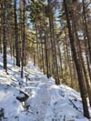 Trail