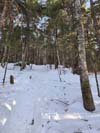 Trail