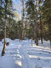 Trail
