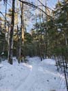 Trail