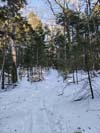 Trail