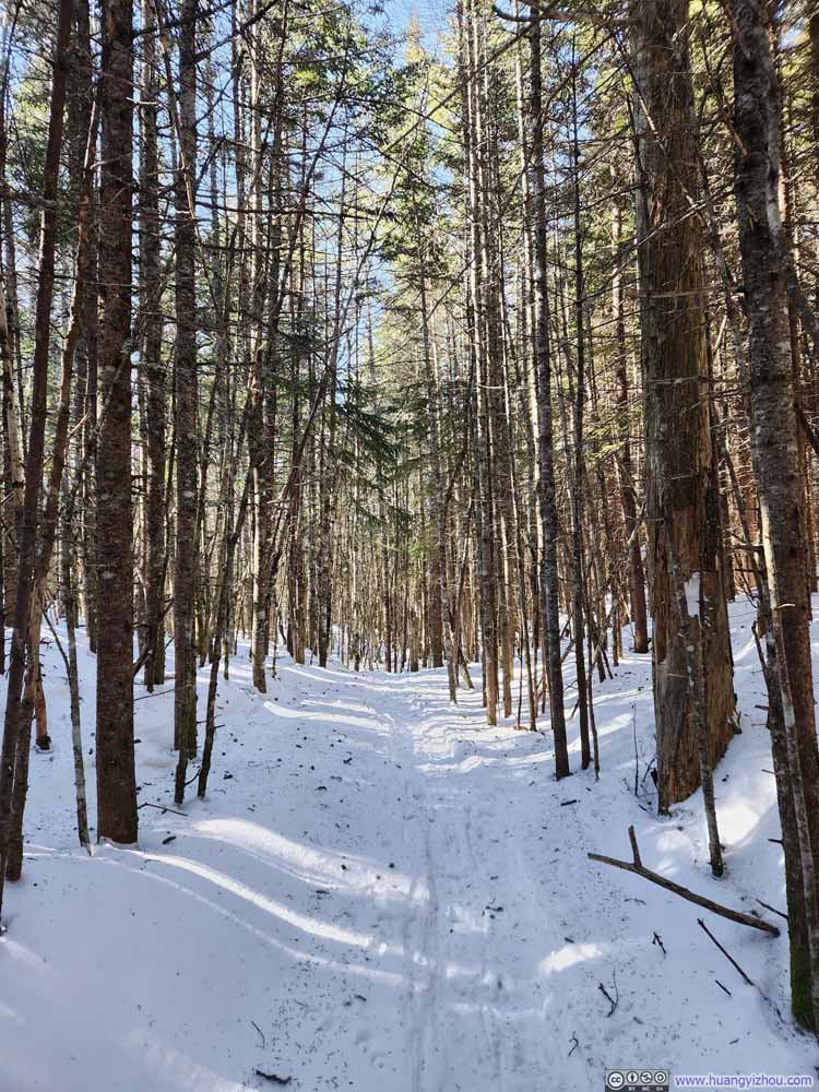 Trail
