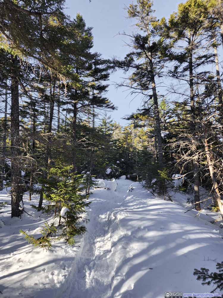 Trail