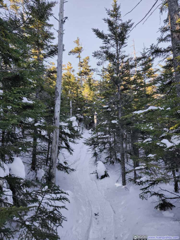 Trail