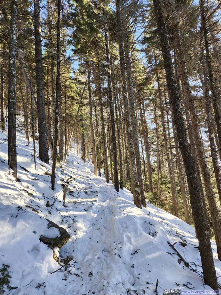 Trail