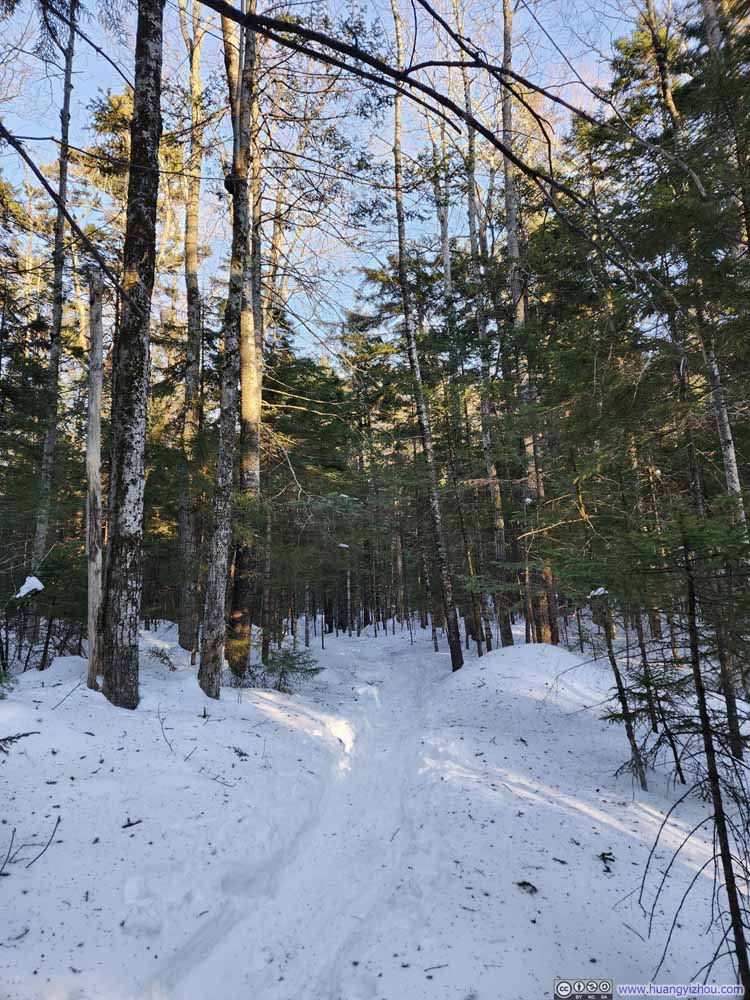 Trail