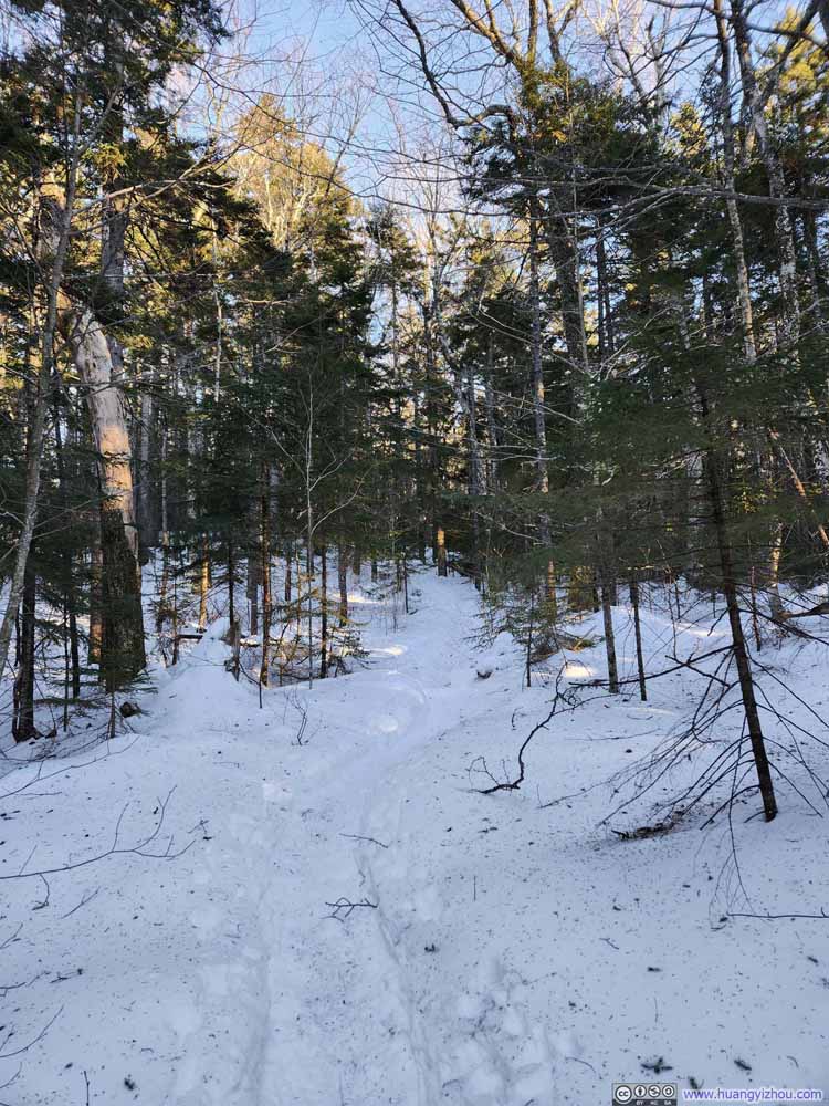 Trail