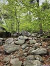 Rocky Trail