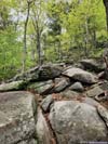 Rocky Trail