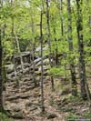 Trail on Rocks