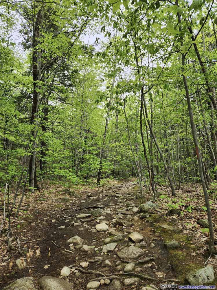 Trail