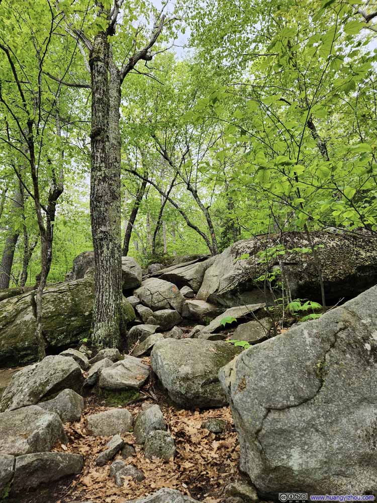 Rocky Trail