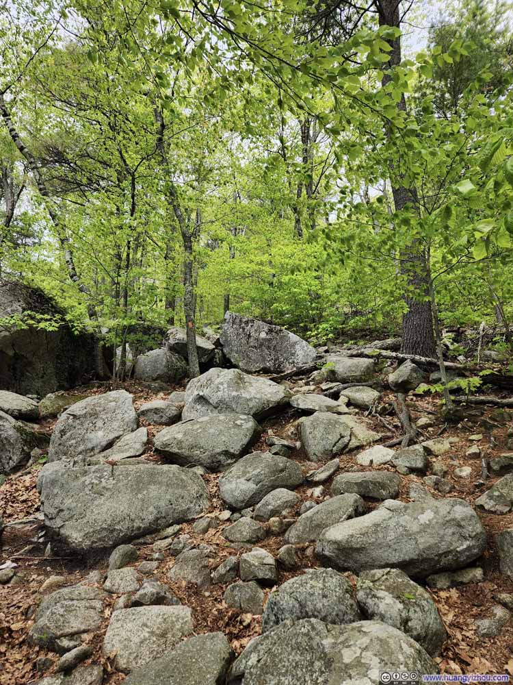 Rocky Trail